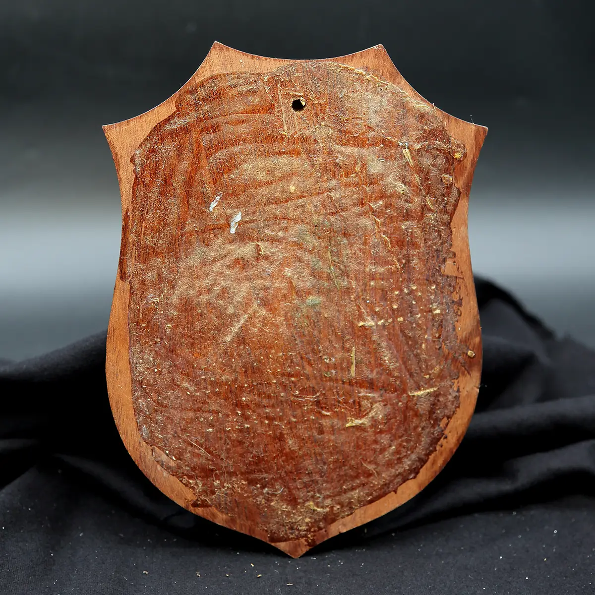 Italiensk marine-våbenskjold – F553 Danaide – 1970/80’erne - Billede 2